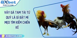 Vảy gà tam tài tứ quý là gì? Bật mí mẹo tìm kiếm chiến kê