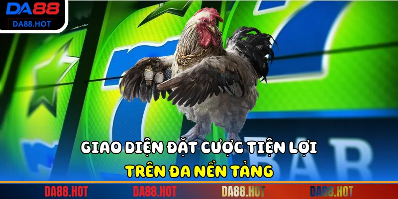 Giao diện đặt cược tiện lợi trên đa nền tảng